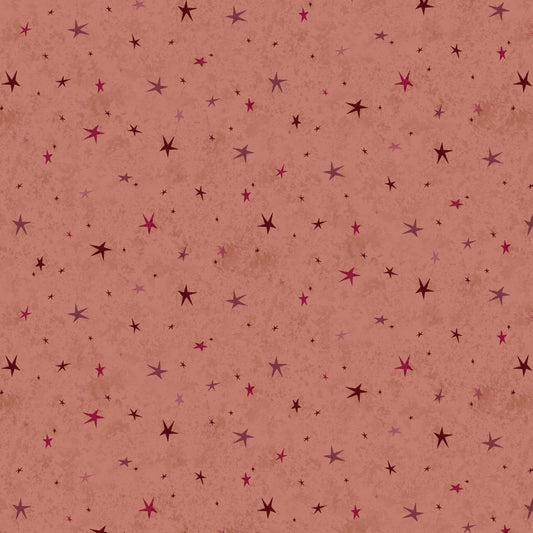 3556-22 SEEING STARS BASIC PINK