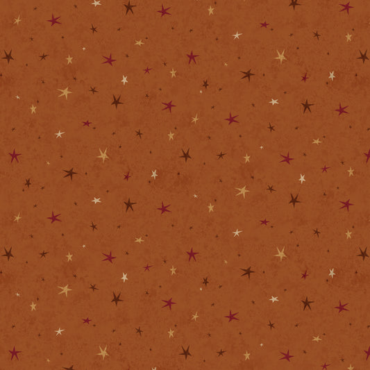 3556-35 SEEING STARS BASIC PUMPKIN