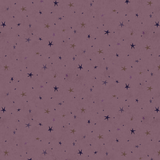 3556-55 SEEING STARS BASIC PURPLE
