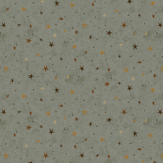 3556-63 SEEING STARS BASIC SAGE GREEN