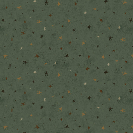 3556-66 SEEING STARS BASIC  GREEN