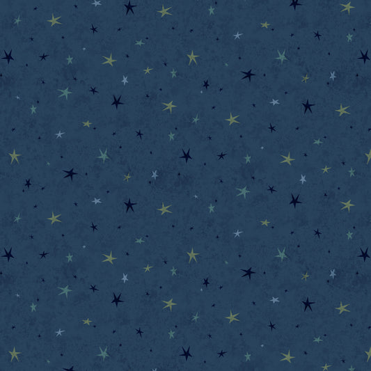 3556-77 SEEING STARS BASIC INDIGO