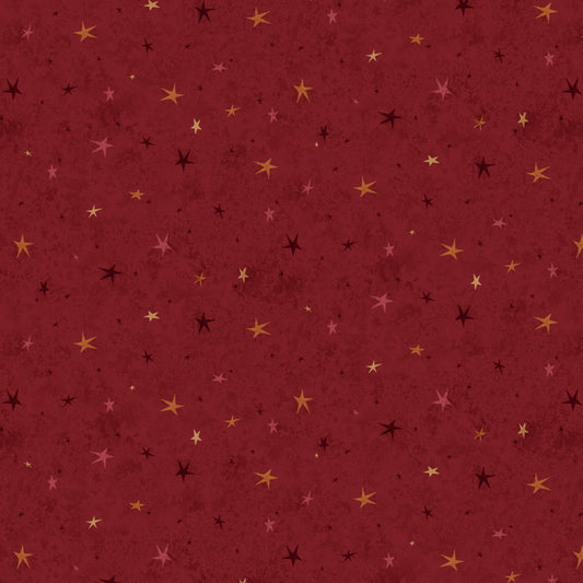 3556-88 SEEING STARS BASIC RED