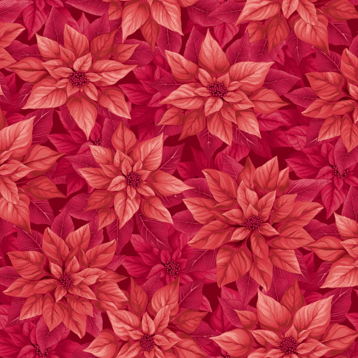 3630-88 Poinsettia Splendor 108 Inch Poinsettia Splendor