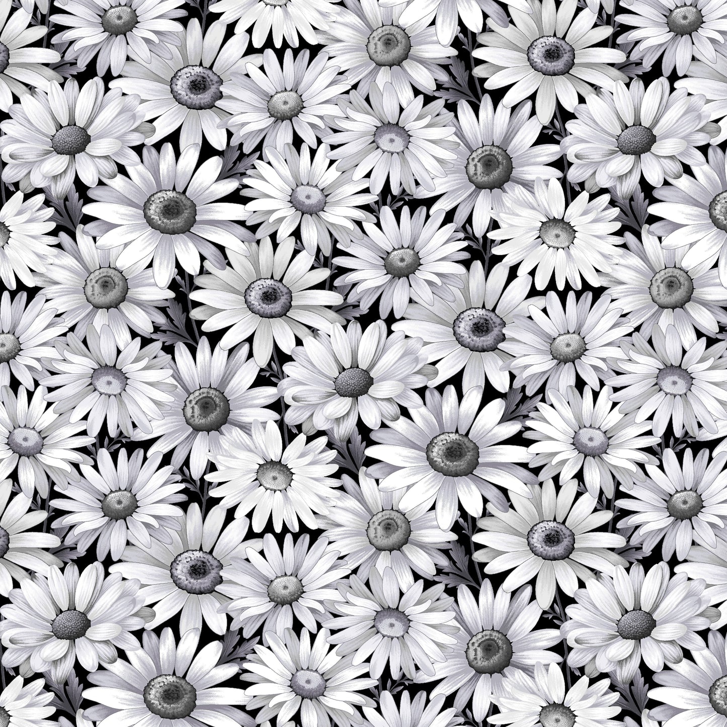3641-99 SCARLET'S TREASURE DAISIES
