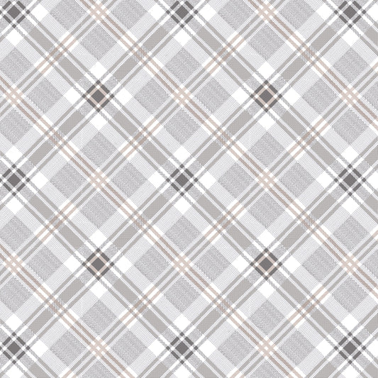 3666-19 Muted Moments Bias Plaid