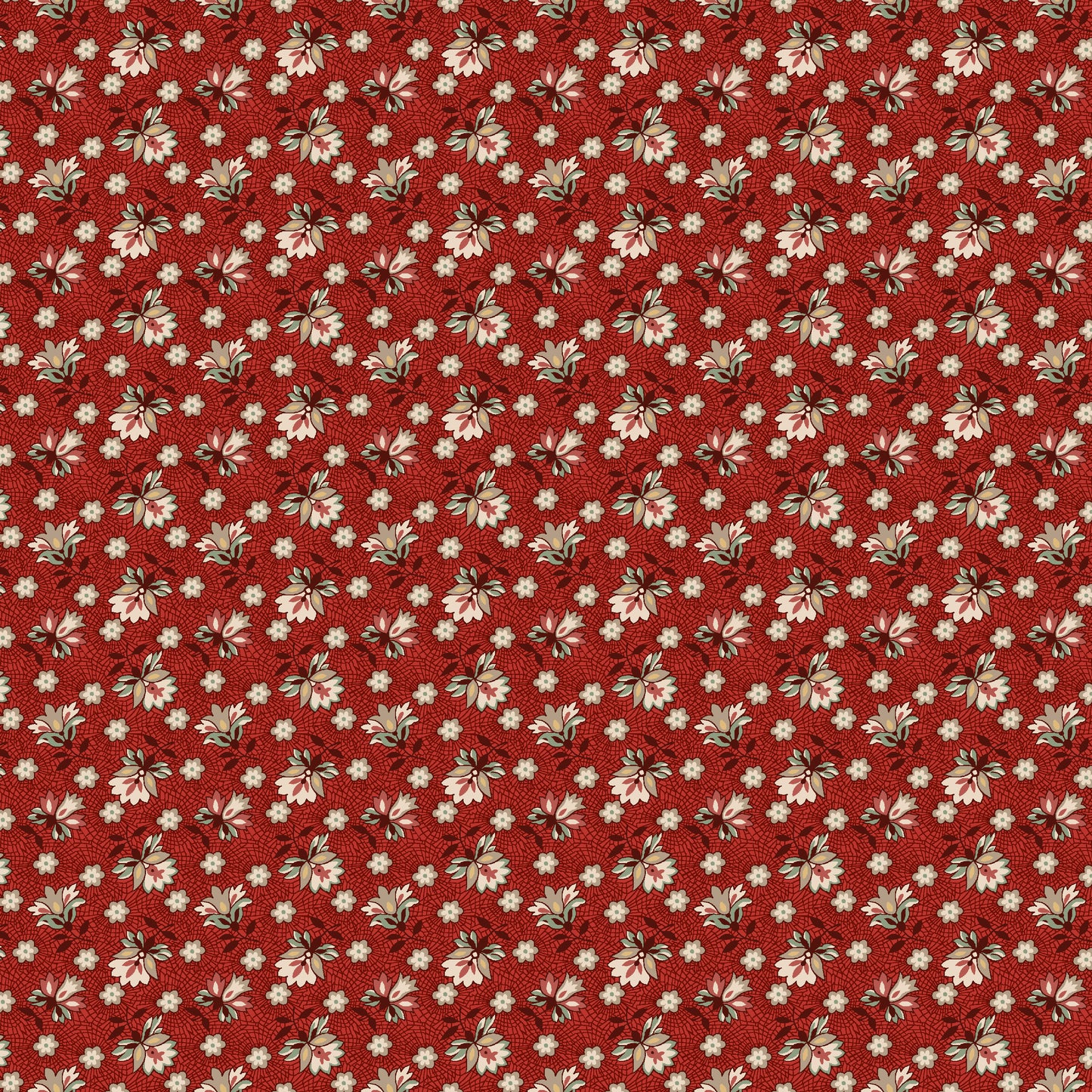 3728-88 Ashby Lacey Blooms