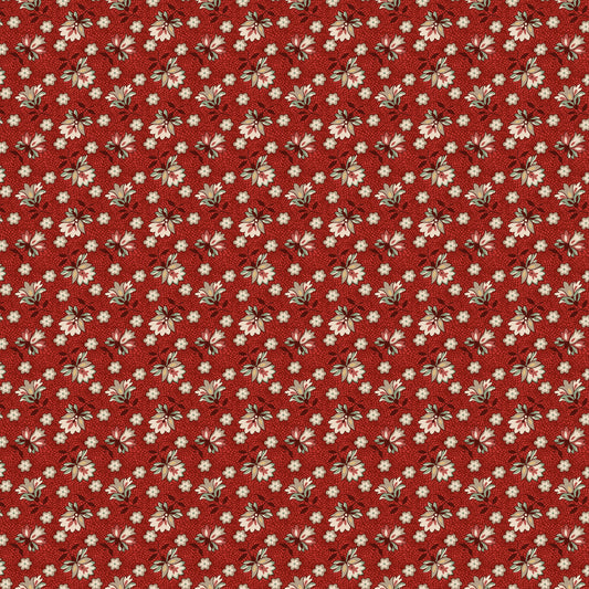 3728-88 Ashby Lacey Blooms