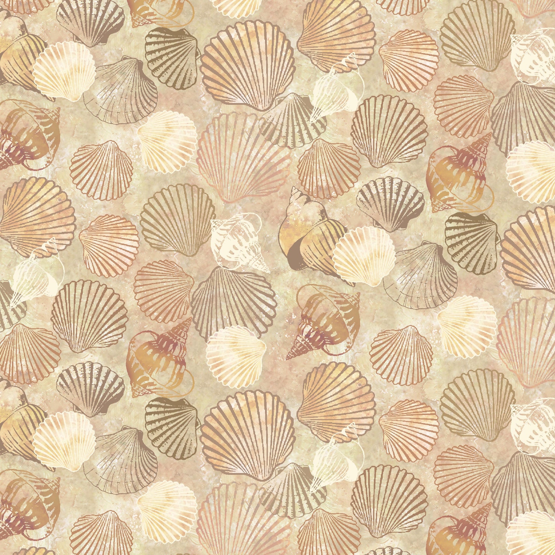 3779-34 Wandering Shores Allover Shell Monotone