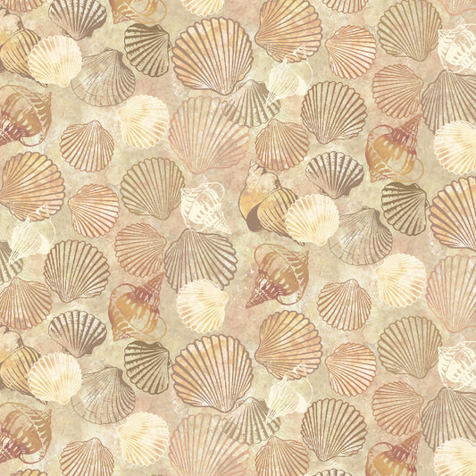 3779-34 Wandering Shores Allover Shell Monotone