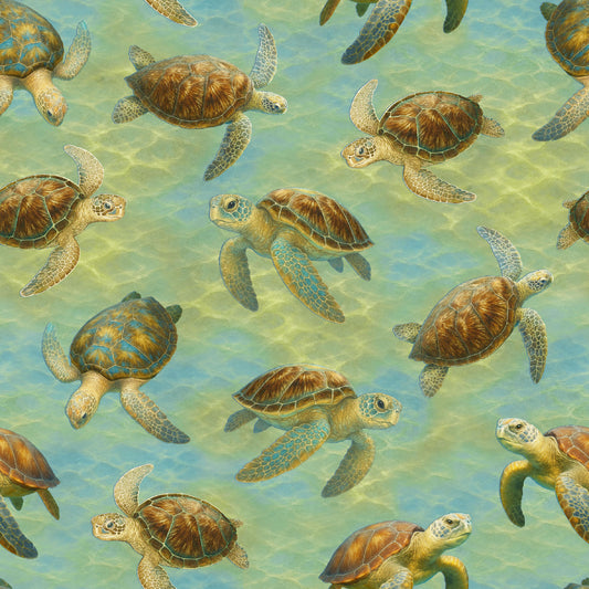 3780-17 Wandering Shores Turtle Toss