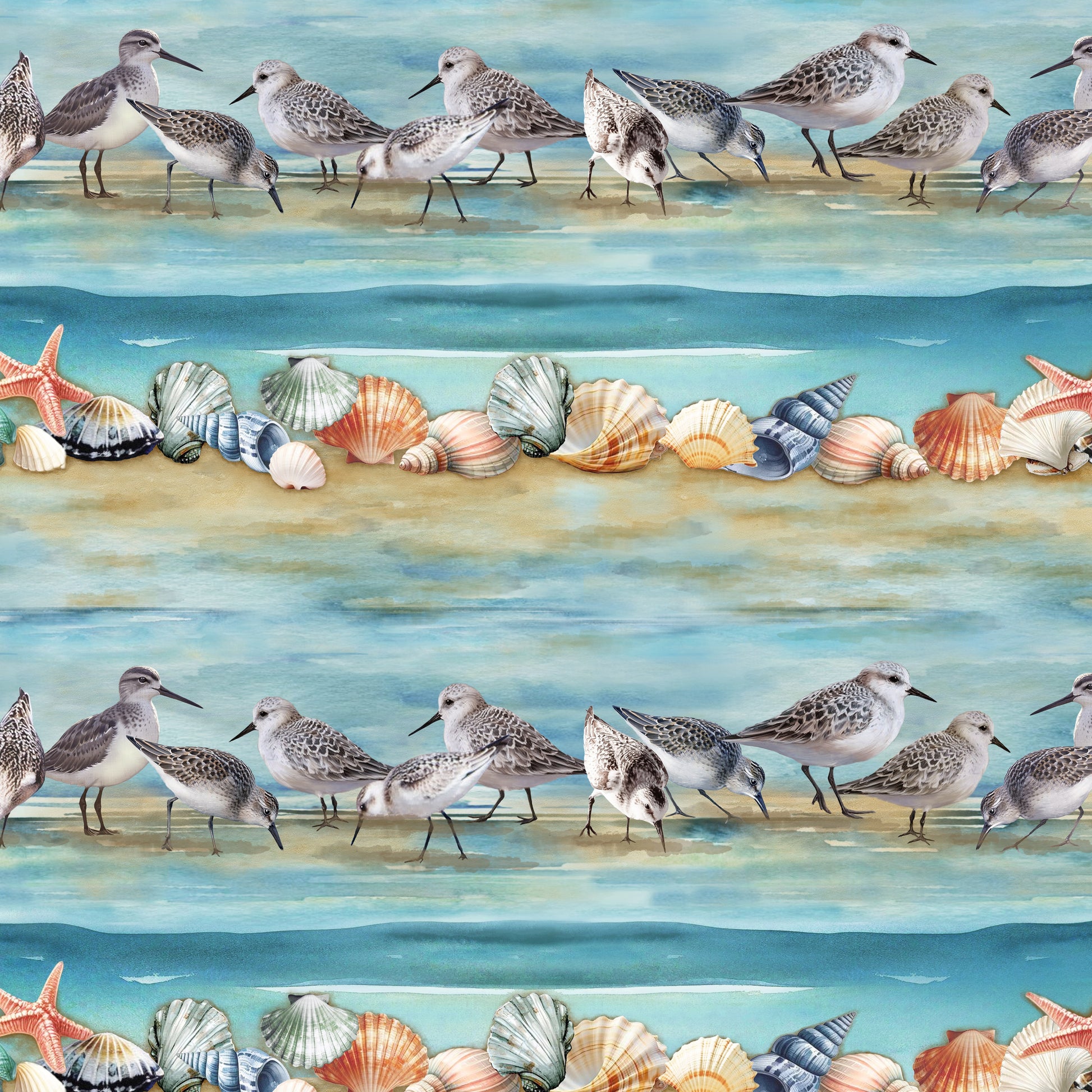 3781-76 Wandering Shores Border Stripe