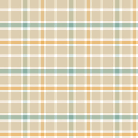 3895-37 Ark Tales Plaid