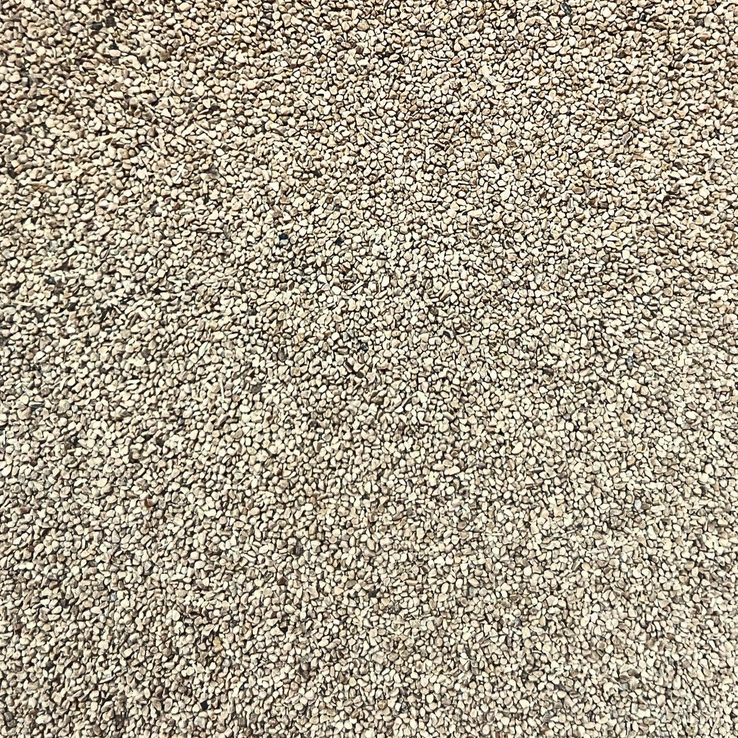 WS300 Ground Walnut Shells 300 Grams