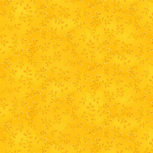 7755-34 FOLIO BASICS YELLOW