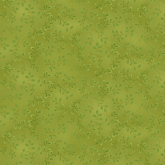 7755-62 FOLIO BASICS EARLY GREEN