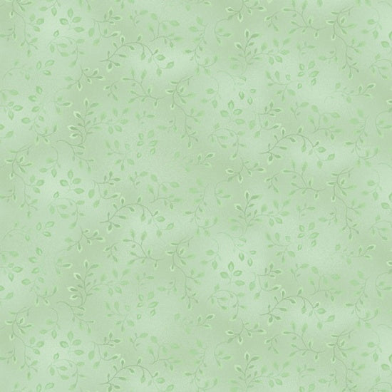 7755-6 FOLIO BASICS CELERY