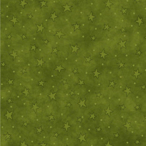 8294-66 STARRY BASICS GREEN