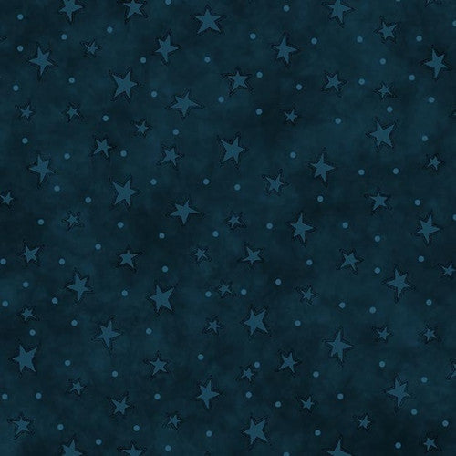 8294-77 STARRY BASICS INDIGO