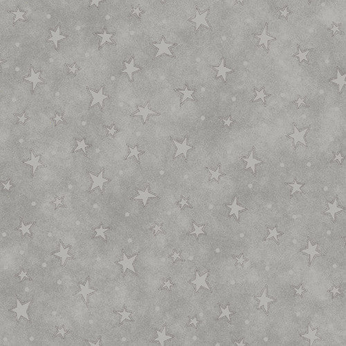 8294-91 STARRY BASICS SILVER