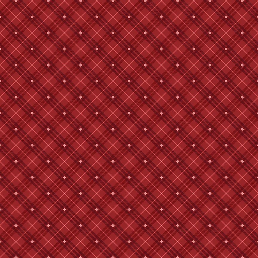 9611-88 BIAS PLAID BASICS RED