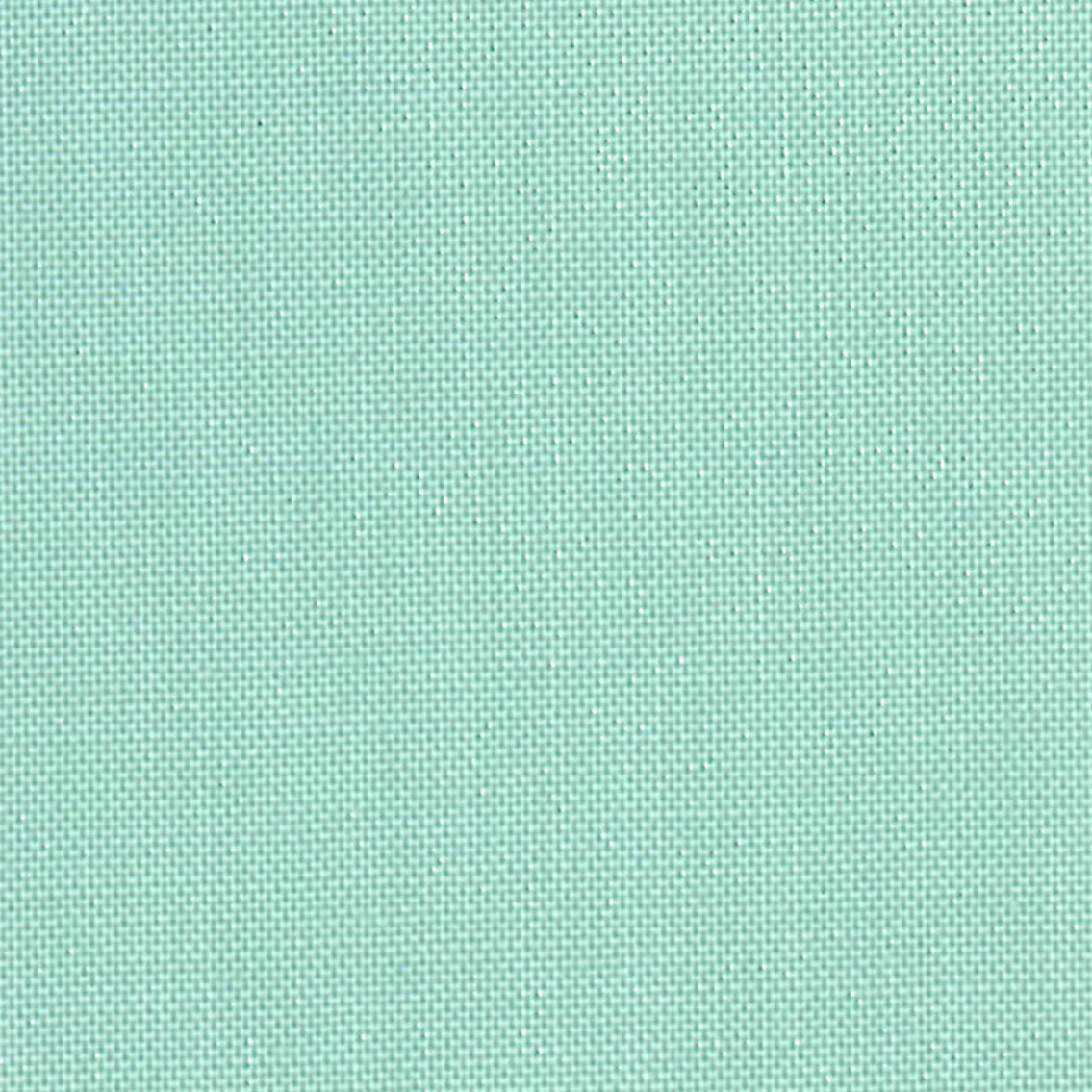 DV124 SOLIDS MINT