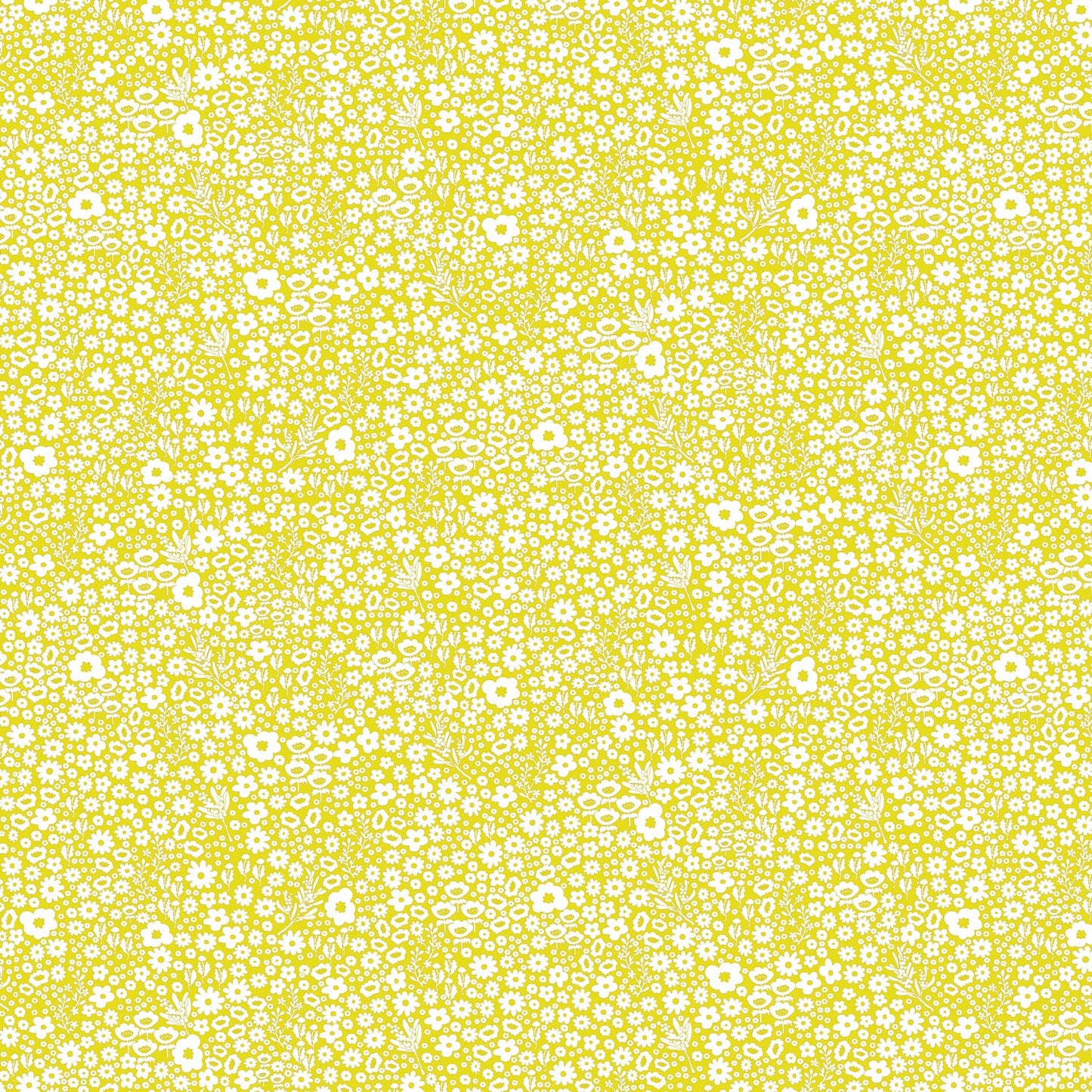 DV2155 DITSY DAISY
