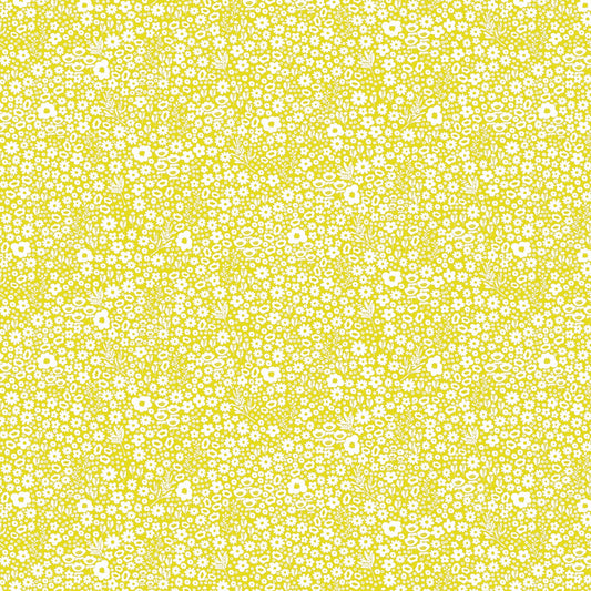 DV2155 DITSY DAISY