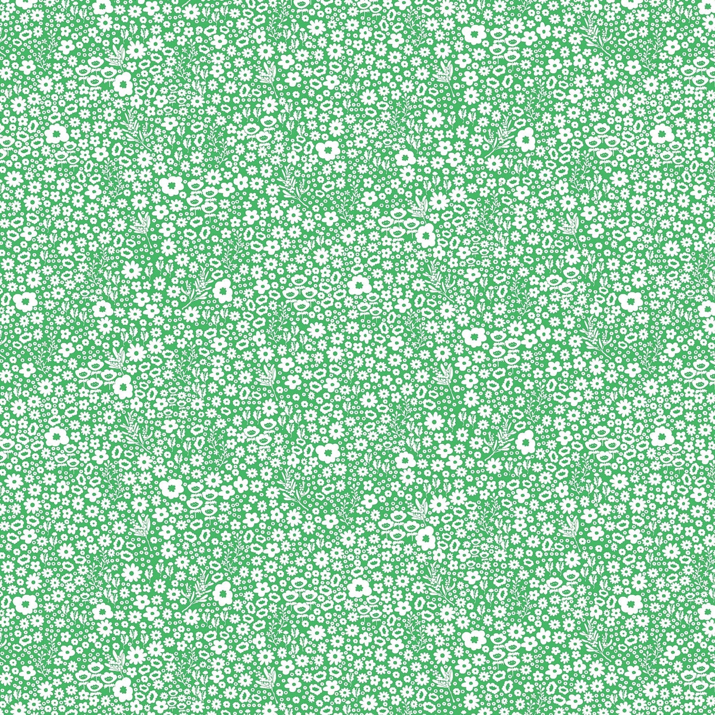 DV2160 DITSY DAISY
