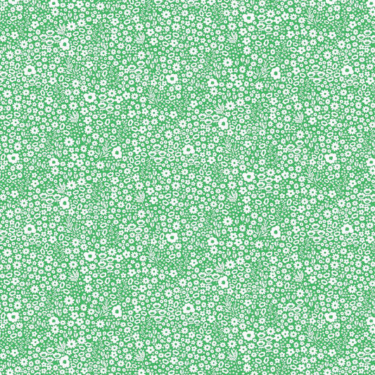 DV2160 DITSY DAISY