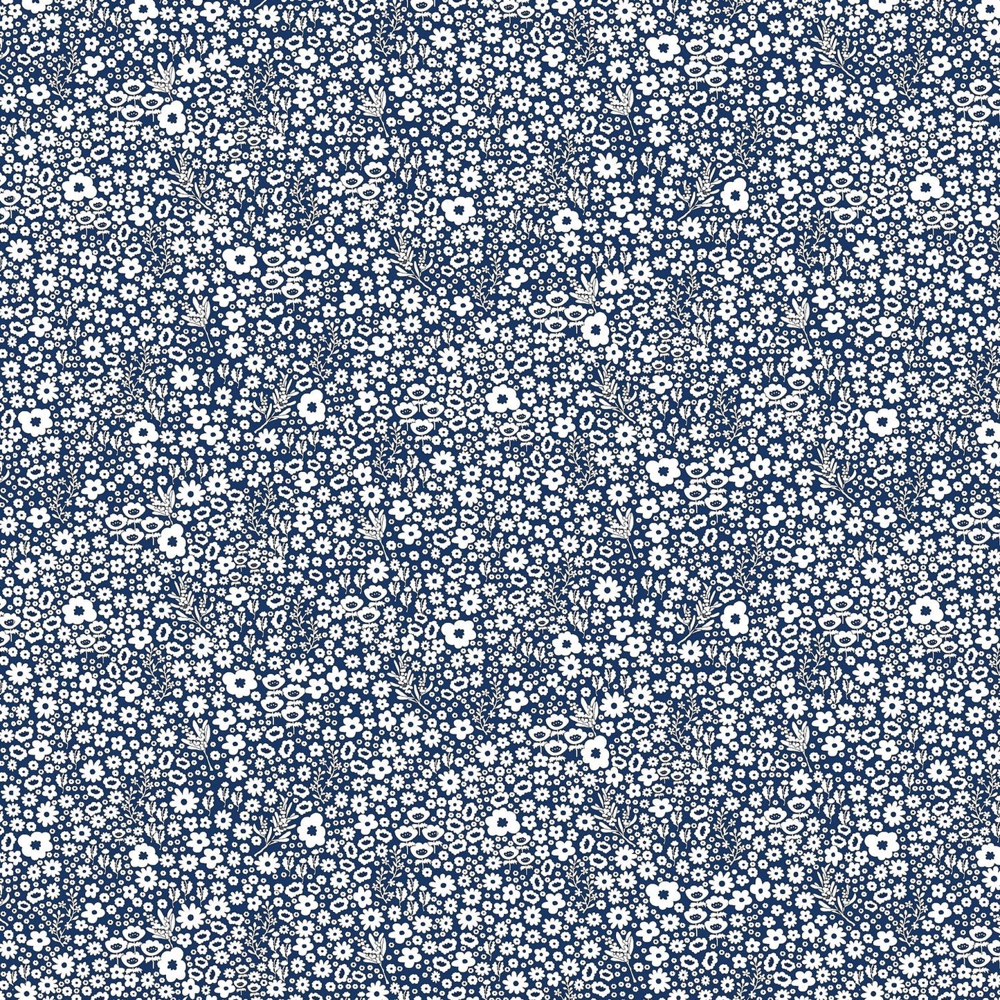 DV2163 DITSY DAISY