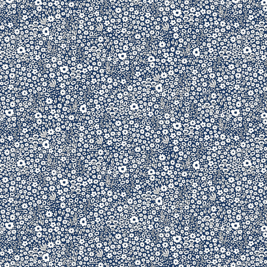 DV2163 DITSY DAISY