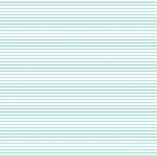 DV2870 FUNDAMENTALS 1/8 STRIPE SEAFOAM