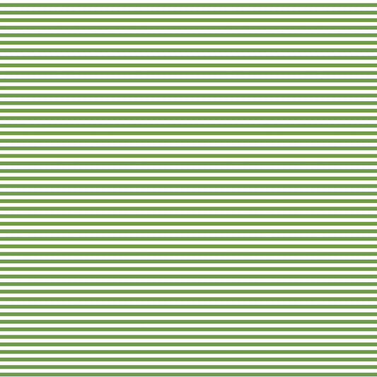 DV2875 FUNDAMENTALS 1/8 STRIPE CROCODILE