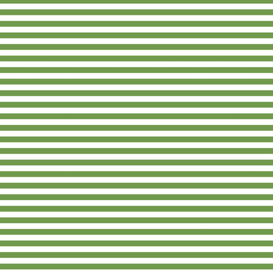 DV2876 FUNDAMENTALS 1/4 STRIPE CROCODILE