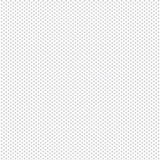 DV2933 FUNDAMENTALS 1/8 SPOT SILVER GUM