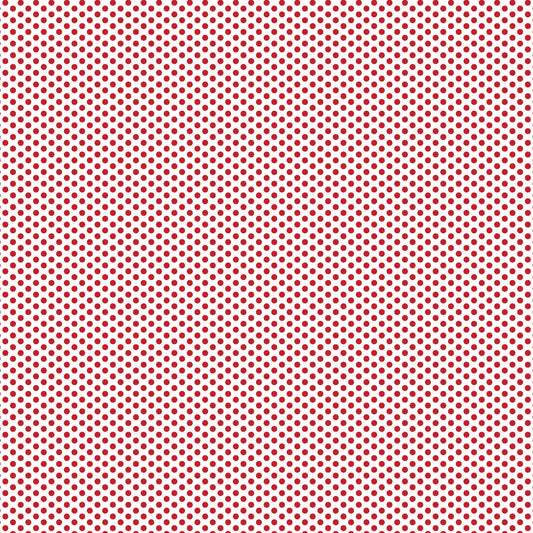 DV2939 FUNDAMENTALS 1/8 SPOT RED DELICIOUS