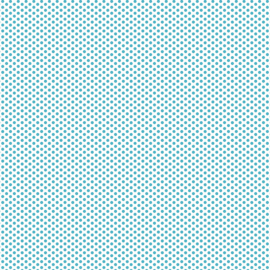 DV2951 FUNDAMENTALS 1/8 SPOT BARRIER BLUE