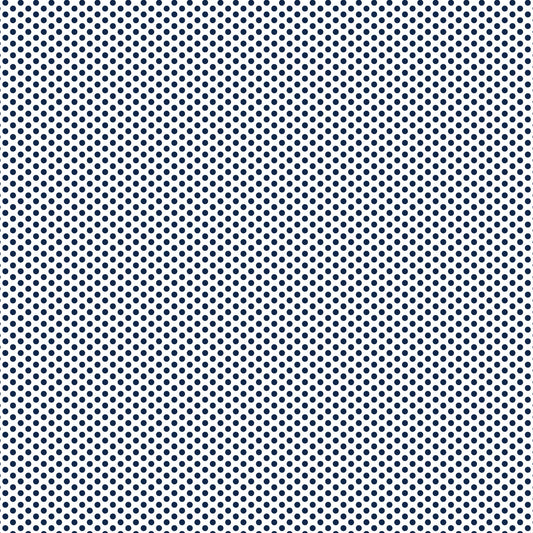 DV2954 FUNDAMENTALS 1/8 SPOT GAMBIER BLUE