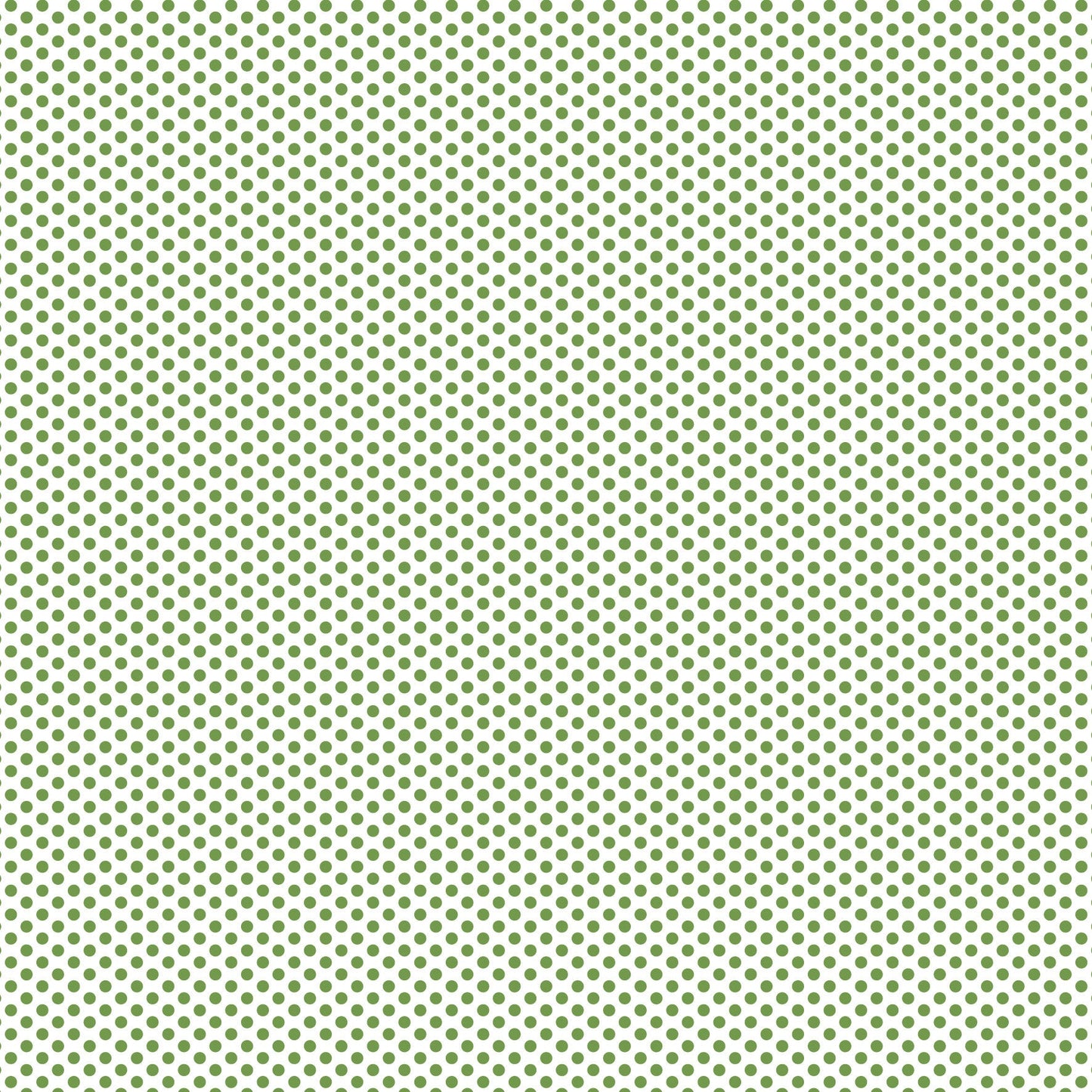 DV2960 FUNDAMENTALS 1/8 SPOT CROCODILE