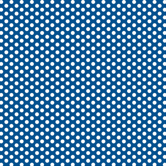 DV3040 FUNDAMENTALS 1/4 SPOT NAUTICAL