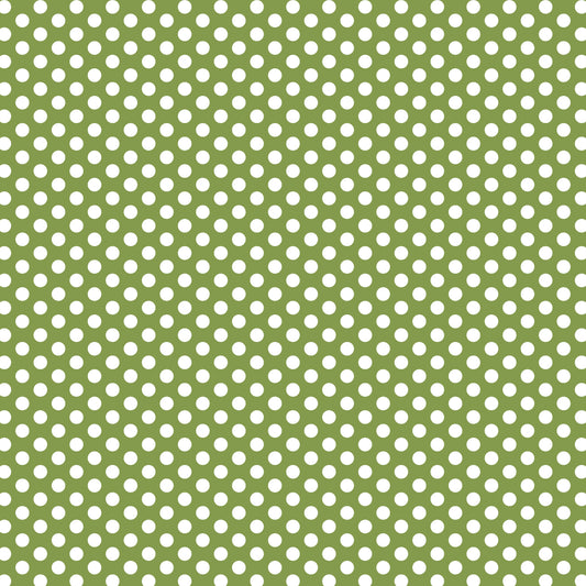 DV3044 FUNDAMENTALS 1/4 SPOT CROCODILE