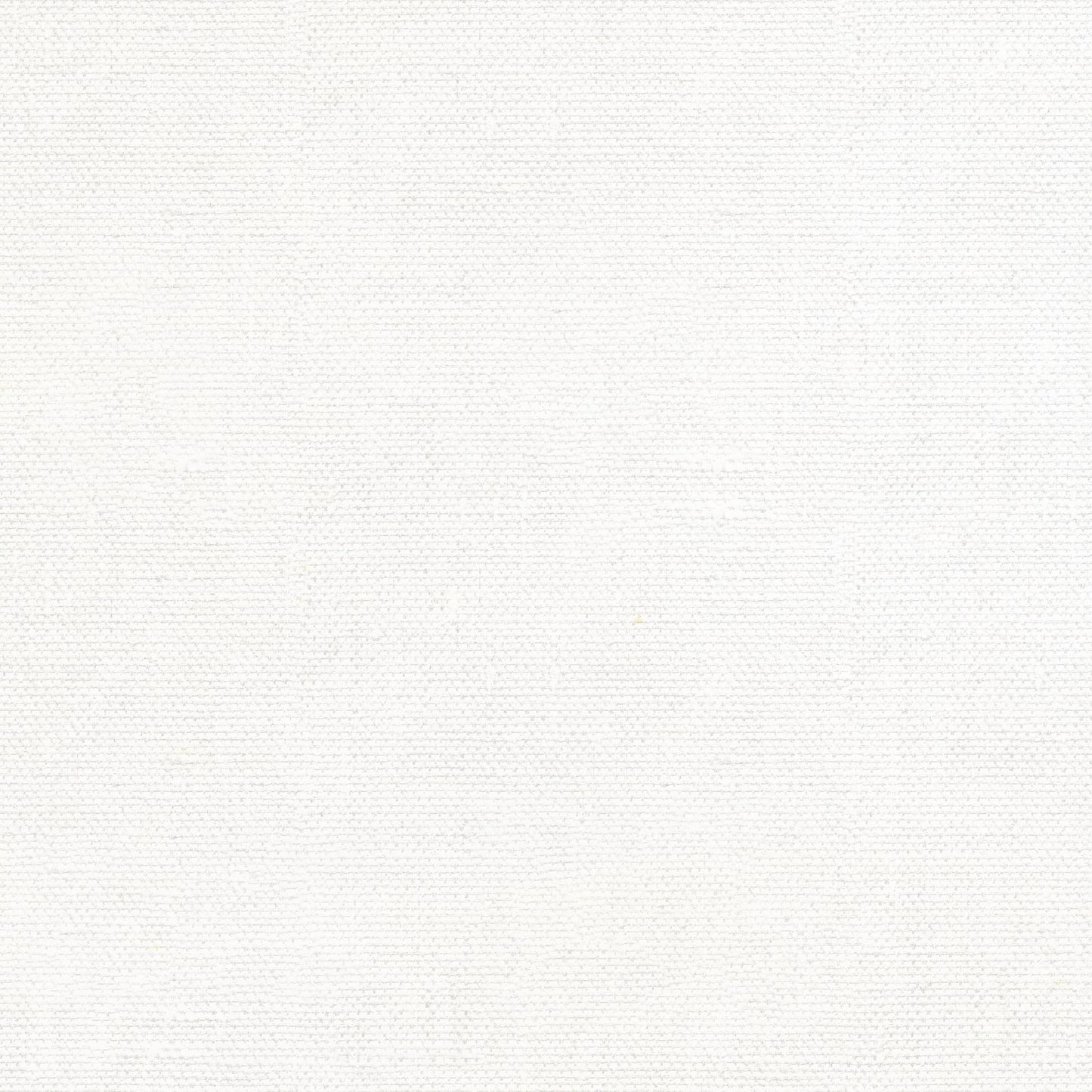 DV4101 LINEN COTTON SOLID WHITE