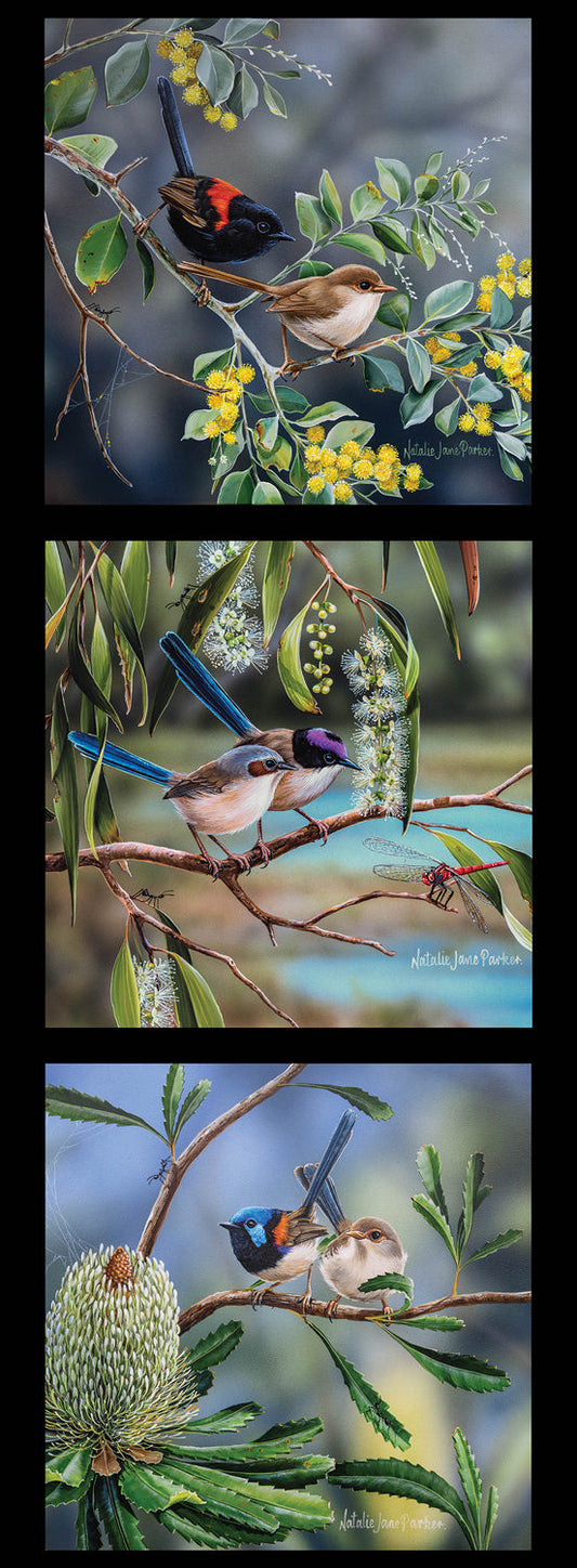 DV5094 WILDLIFE ART