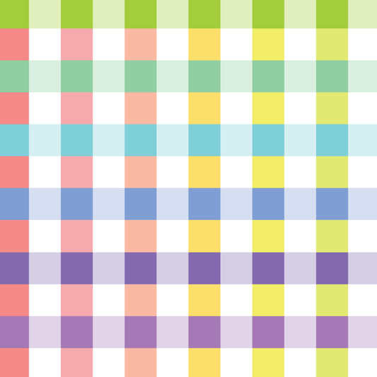 DV6169 WIDELOADS 108" RAINBOW CHECK BLACK