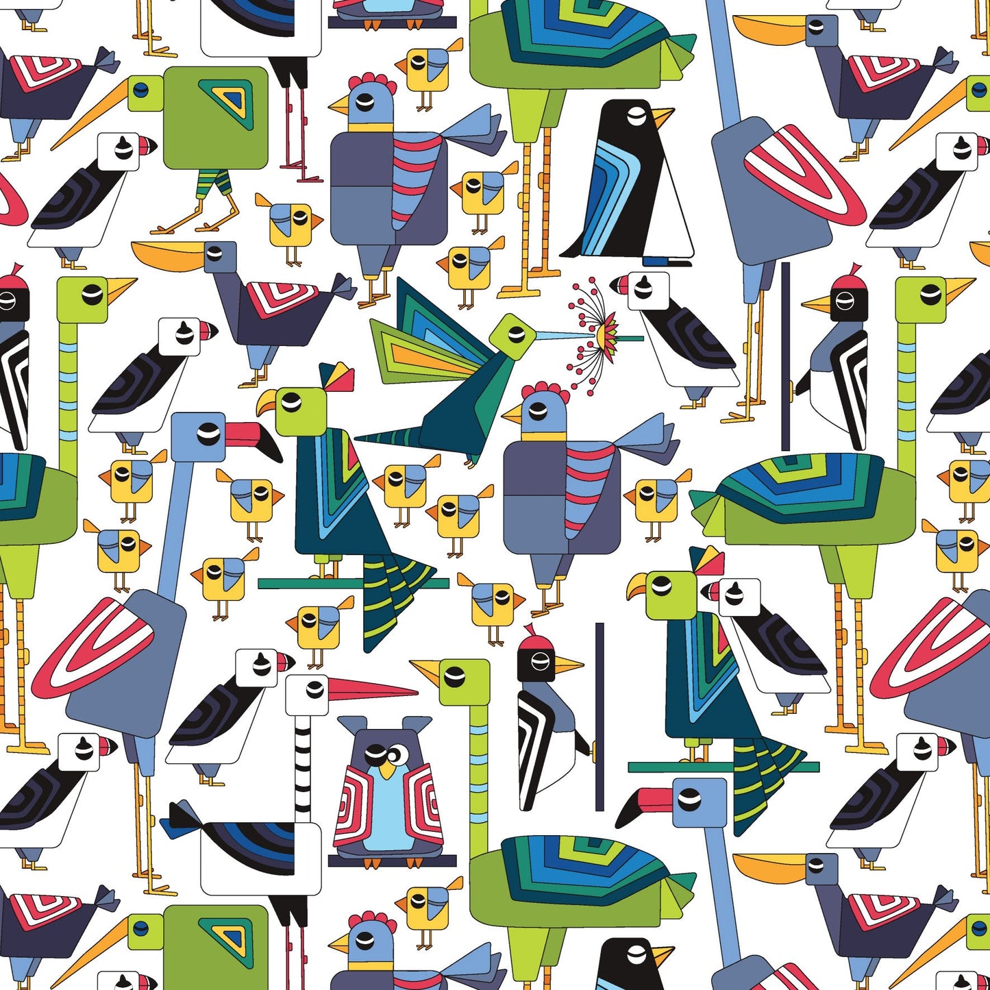 DV6695 BIRDWATCH