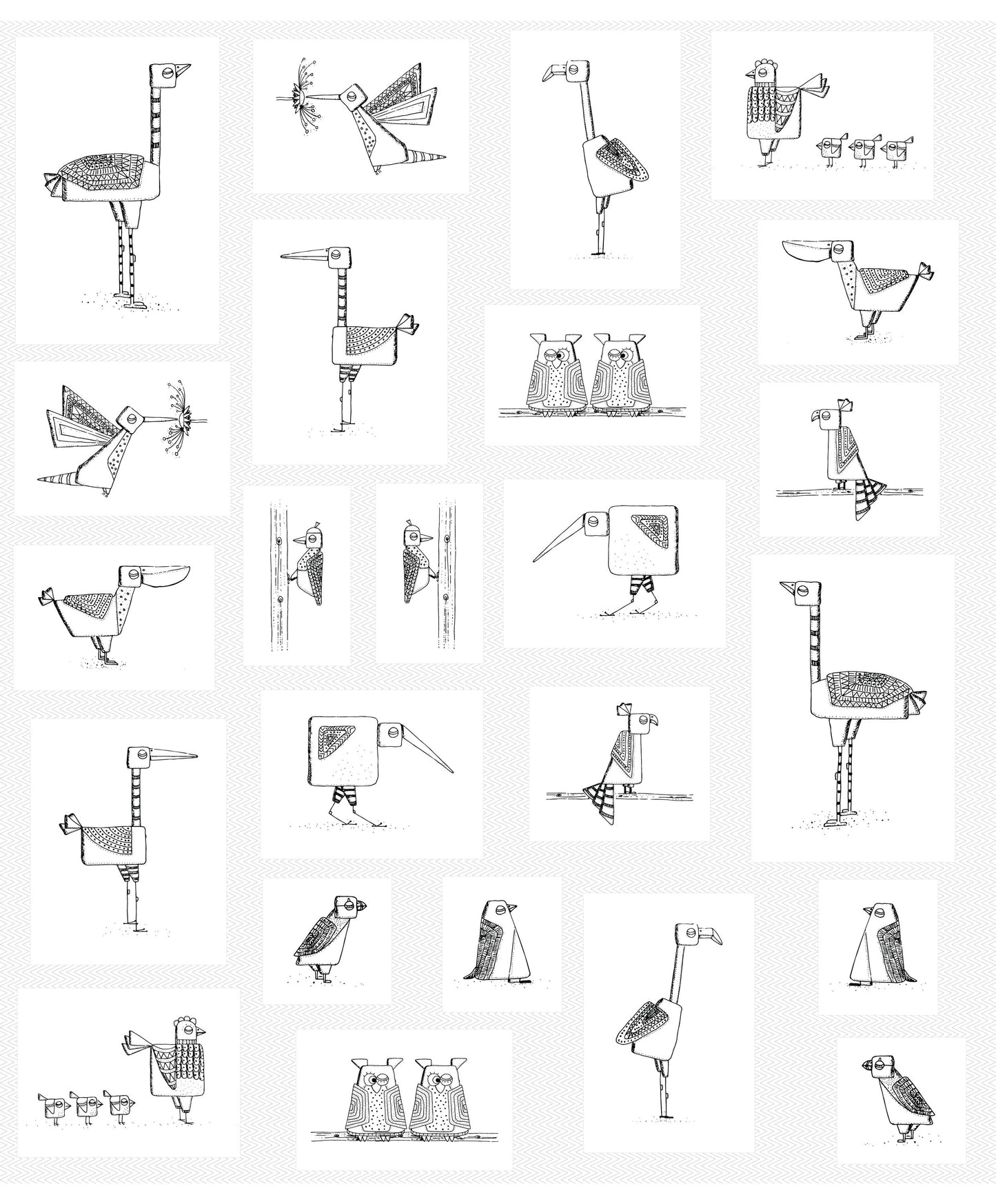 DV6696 BIRDWATCH