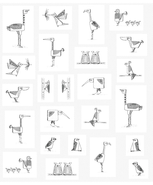 DV6696 BIRDWATCH