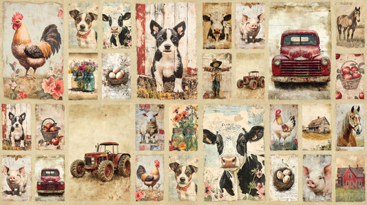 DV6795 COOPS FARM