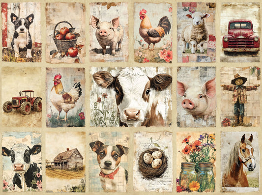 DV6796 COOPS FARM